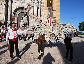 Wine Horses