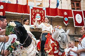 Wine Horses