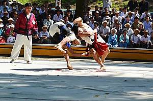Traditional Korean wrestling (Ssirum/Ssireum)