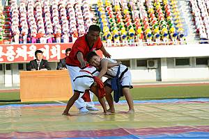 Traditional Korean wrestling (Ssirum/Ssireum)