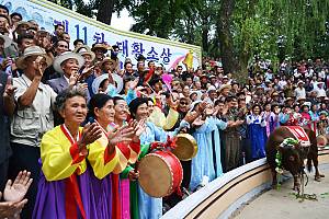 Traditional Korean wrestling (Ssirum/Ssireum)