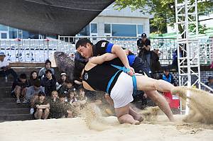 Traditional Korean wrestling (Ssirum/Ssireum)
