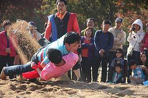 Traditional Korean wrestling (Ssirum/Ssireum)