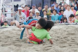 Traditional Korean wrestling (Ssirum/Ssireum)