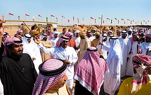 Camel racing, a social practice and a festive heritage associated with camels