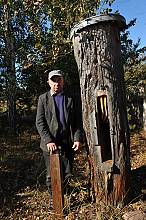 Tree beekeeping culture