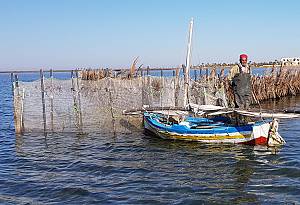 Charfia fishing in the Kerkennah Islands