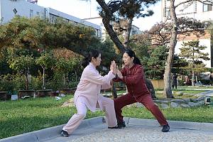 Taijiquan