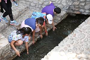 Al Aflaj, traditional irrigation network system in the UAE, oral traditions, knowledge and skills of construction, maintenance and equitable water distribution