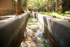 Al Aflaj, traditional irrigation network system in the UAE, oral traditions, knowledge and skills of construction, maintenance and equitable water distribution
