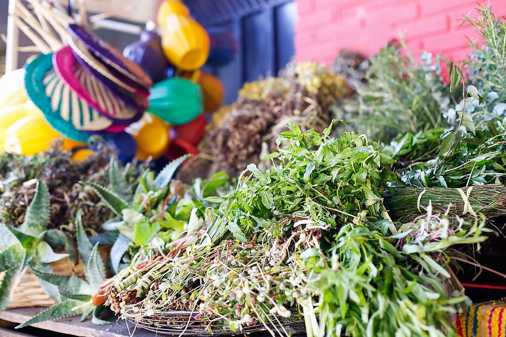 Variety of medicinal herbs: menta´i and aloé. Background: jug and tipical fan of Paraguay