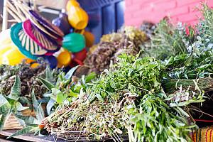 Practices and traditional knowledge of Terere in the culture of Pohã Ñana, Guaraní ancestral drink in Paraguay