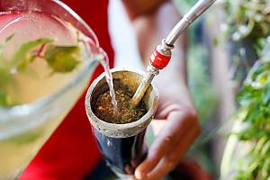 Practices and traditional knowledge of Terere in the culture of Pohã Ñana, Guaraní ancestral drink in Paraguay
