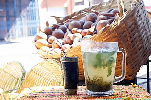 Practices and traditional knowledge of Terere in the culture of Pohã Ñana, Guaraní ancestral drink in Paraguay
