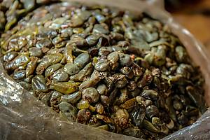 Traditional knowledge and techniques associated with Pasto Varnish mopa-mopa of Putumayo and Nariño