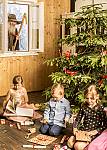 Use of ornaments for a decoration of the Chistmas tree