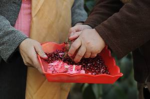 Nar Bayrami, traditional pomegranate festivity and culture
