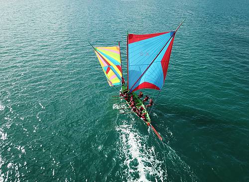 Training programme for the global facilitators network: information webinar