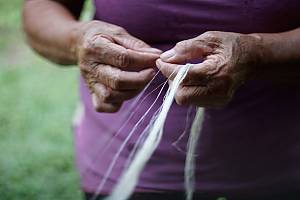 Aklan piña handloom weaving