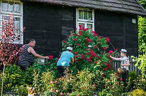 La tradition des tapis de fleurs pour les processions de la Fête-Dieu