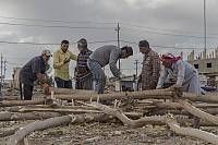 A number of specialized carpenters while preparing the pieces of wood required to create and establish Al- Naoor and with the participation of some members of the relevant local communities