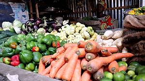 Le ceebu jën, art culinaire du Sénégal