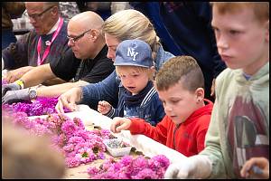 Corso culture, flower and fruit parades in the Netherlands