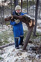 Nordic clinker boat traditions