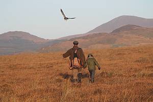 Falconry, a living human heritage