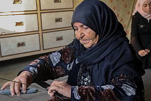 La cetrería, un patrimonio humano vivo