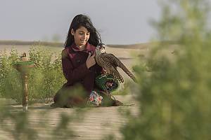 Falconry, a living human heritage