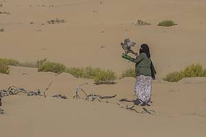 Falconry, a living human heritage