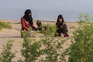 Falconry, a living human heritage