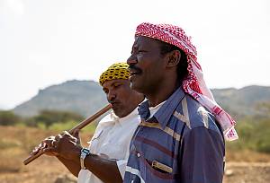 Alheda'a, oral traditions of calling camel flocks