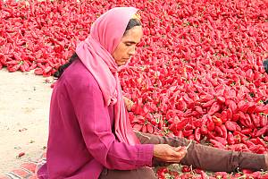 La harissa, saberes, conocimientos y prácticas culinarias y sociales