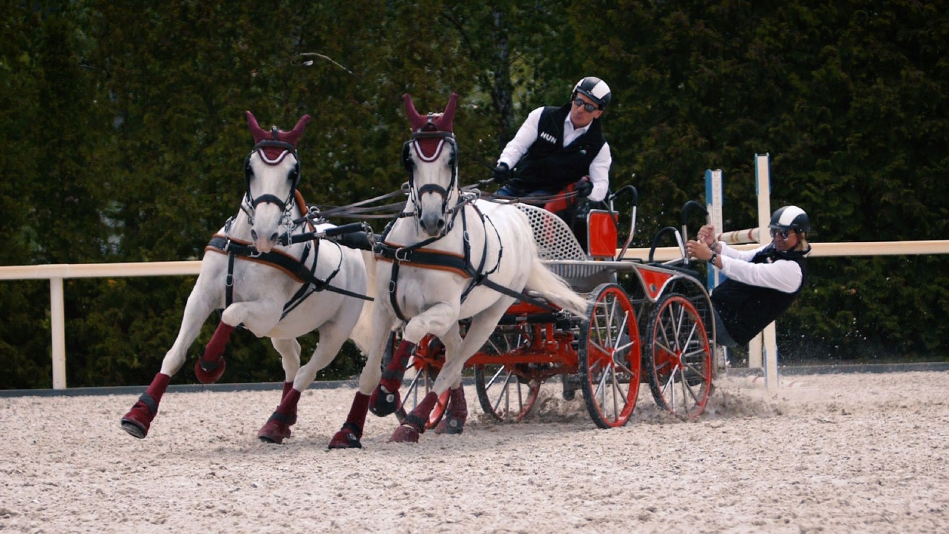 Vilmos Lázár's and Zoltán Lázár's achievements in carriage driving: Vilmos Lázár is 12 time two-in-hand carriage driving world champion and he is the Chairman of the Association of Hungarian Equestrian Sport. Zoltán Lázár is 9 time World Champion in carriage driving