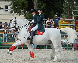 Lipizzan horse breeding traditions