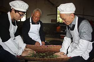 Traditional tea processing techniques and associated social practices in China