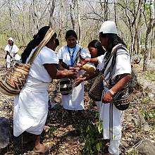 Le système ancestral de connaissances des quatre peuples autochtones arhuaco, kankuamo, kogi et wiwa de la Sierra Nevada de Santa Marta