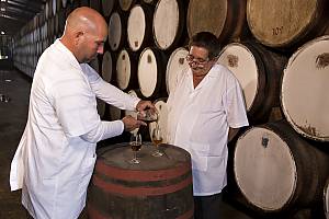 Knowledge of the light rum masters