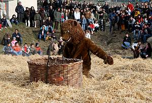 Bear festivities in the Pyrenees