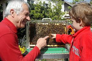Beekeeping in Slovenia, a way of life
