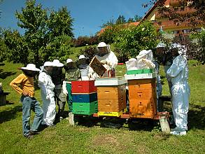 Beekeeping in Slovenia, a way of life