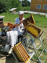 Beekeeping in Slovenia, a way of life
