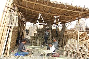 Date palm, knowledge, skills, traditions and practices