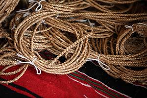 Date palm, knowledge, skills, traditions and practices