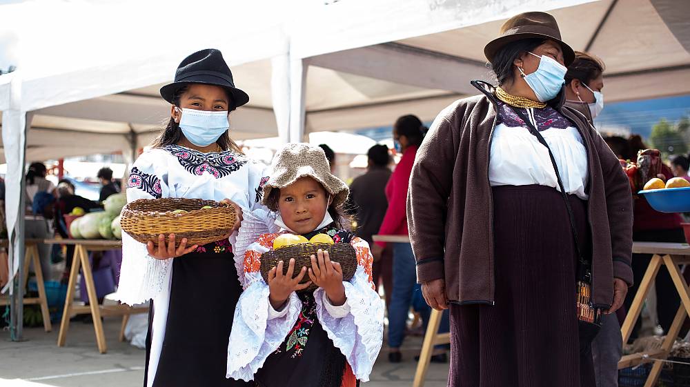 Imagen del proyecto de salvaguardia titulado 