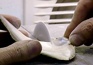 Craftsmanship of mother of pearl inlay