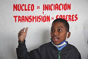 Le Programme de sauvegarde des Bandos et Parrandas des Saints Innocents de Caucagua : pôles d’initiation et de transmission des connaissances et Conseils communautaires