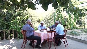 Culture of Çay (tea), a symbol of identity, hospitality and social interaction